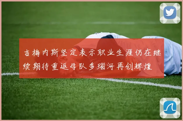 吉梅内斯坚定表示职业生涯仍在继续期待重返母队多瑙河再创辉煌